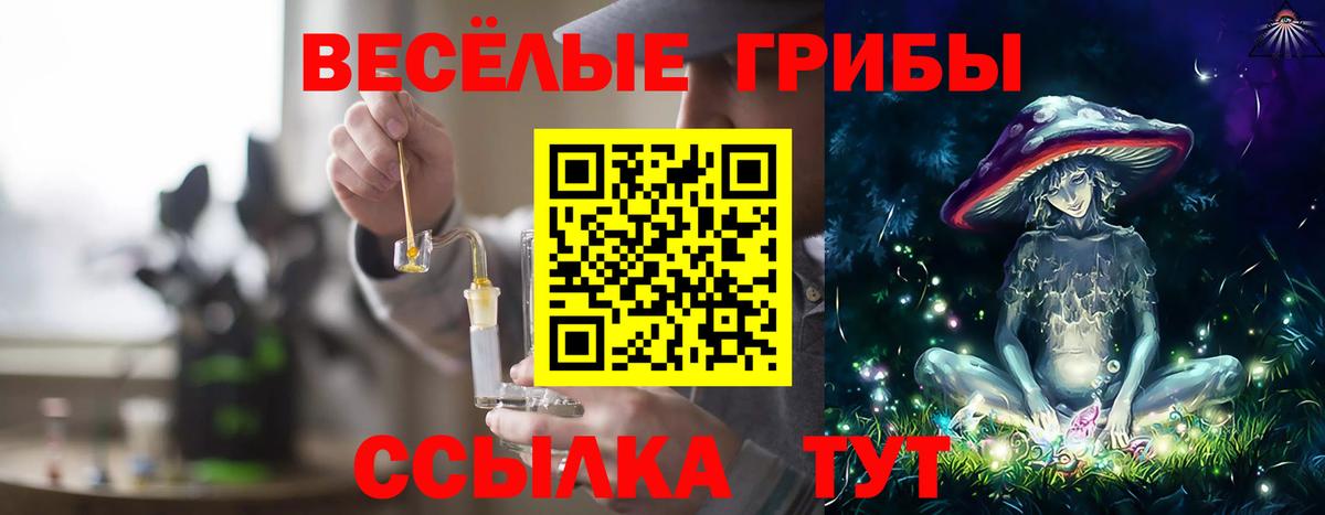 Саяногорск  Галлюциногенные грибы Psilocybe  Вход с VPN 